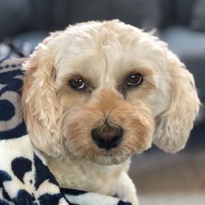 Meet your Posher, Sabine